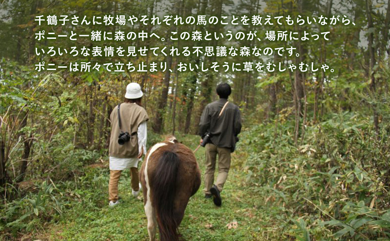 【北海道 十勝 幕別町 】ポニーと一緒におさんぽしながら森林浴カフェ［ ペア チケット ］【 牧場 見学 ツアー 体験型 旅 旅行 イベント 夏休み 自由研究 移住 自然 放牧 ガイド 北海道 十勝 幕別 】