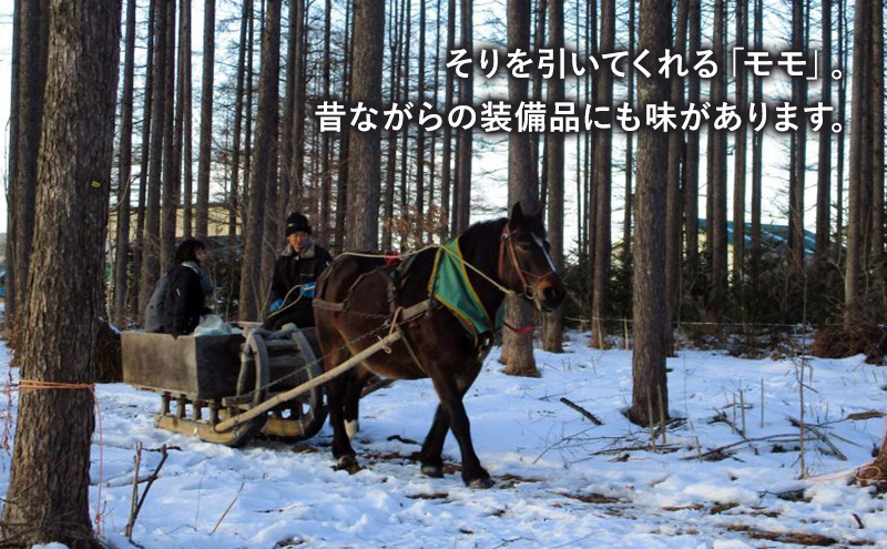 【北海道 十勝 幕別町 】十勝開拓の礎 馬そりで冬の森へ［ ペア チケット ］【 牧場 見学 ツアー 体験型 旅 旅行 イベント 冬休み 自由研究 移住 自然 放牧 ガイド 北海道 十勝 幕別 】