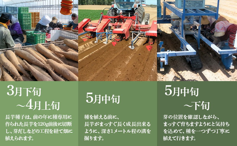 北海道 十勝の大地が育てたシャキシャキ食感と強い粘り 幕別産 長いも 2Lサイズ 5kg［木川商店］【 長いも 長芋 ながいも ナガイモ とろろ 芋 いも 野菜 10kg 5kg  産地直送 旬 濃厚 北海道 十勝 幕別 】