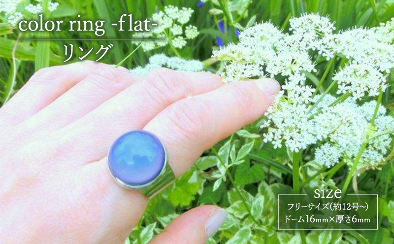 color ring -flat- リング 指輪 アクセサリー 1個 [Q]handmadejewely【シンプル  グラデーション スカイブルー グリーン イエロー パープル ピンク 可愛い ハンドメイド ジュエリー 手作り  職人 上品 大人な雰囲気 ギフト プレゼント】