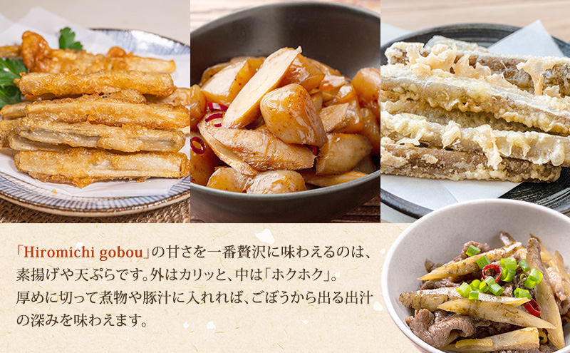 十勝 幕別町産 ごぼう5kg (ML混合) 渡邉農場 [2026年11月出荷開始]【 野菜 根菜 ごぼう ゴボウ 牛蒡 北海道 十勝 幕別 】