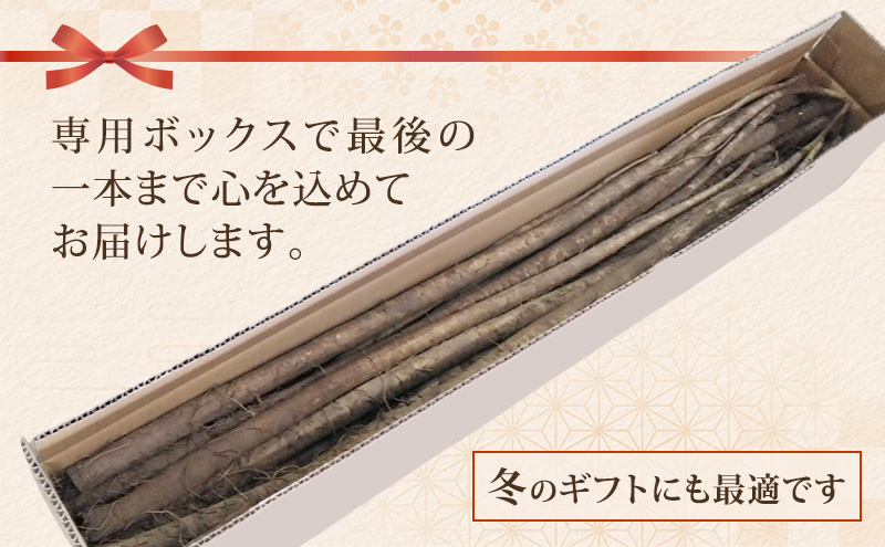十勝 幕別町産 ごぼう5kg (ML混合) 渡邉農場 [2026年11月出荷開始]【 野菜 根菜 ごぼう ゴボウ 牛蒡 北海道 十勝 幕別 】