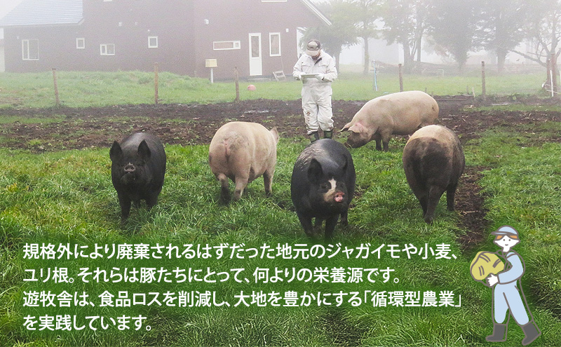 北海道十勝の放牧豚”遊ぶた”プチしゃぶしゃぶセット お肉 豚肉 豚バラ 