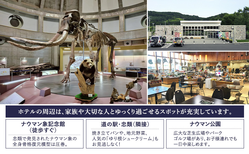 【平日限定】十勝ナウマン温泉 ホテルアルコ 一泊二食宿泊券 スタンダード 1名様分【 北海道 幕別町 十勝 ナウマン温泉 ホテルアルコ 宿泊券 1名 平日限定 一泊二食 温泉 旅行 観光 】