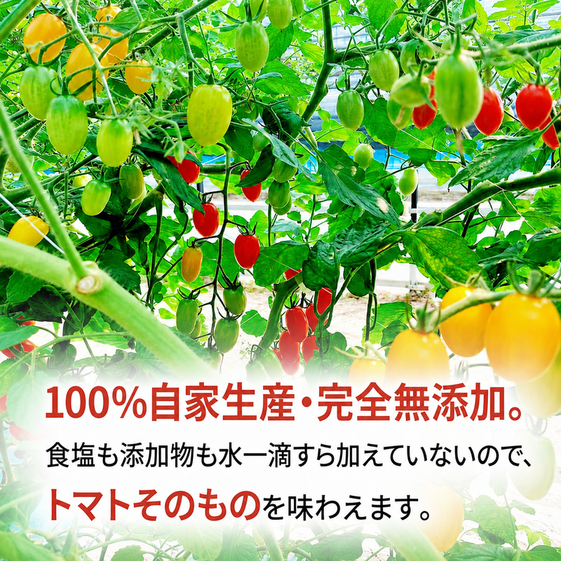 【先行予約】糖度平均9～10度！十勝 幕別産 ミニトマトジュース「自慢のトマトでつくりました。」赤160ml×6本［北海道ホープランド農場］食塩無添加【 トマト ミニトマト 飲料 野菜ジュース リコピン 北海道 】