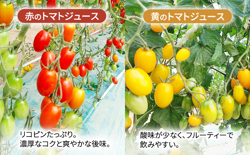 糖度平均9～10度！十勝 幕別産 ミニトマトジュース「自慢のトマトでつくりました。」赤180ml×3本・黄180ml×3本 セット［北海道ホープランド農場］食塩無添加【 トマト ミニトマト 飲料 野菜ジュース リコピン 北海道 十勝 幕別 】