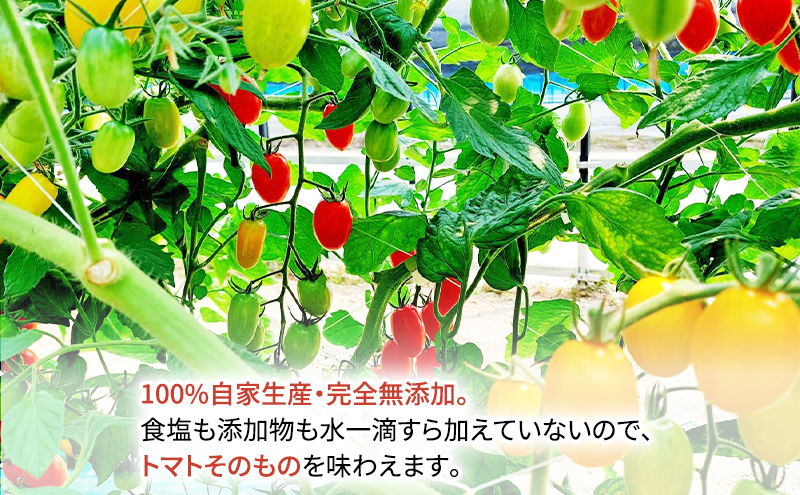 糖度平均9～10度！十勝 幕別産 ミニトマトジュース「自慢のトマトでつくりました。」赤1,000ml×1本・黄180ml×4本 セット［北海道ホープランド農場］食塩無添加【 トマト ミニトマト 飲料 野菜ジュース リコピン 北海道 十勝 幕別 】