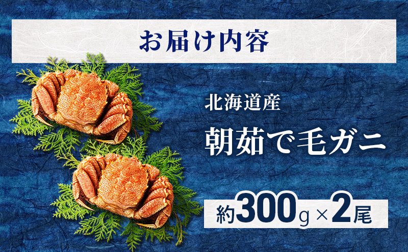 ［冷蔵便］茹でたて直送！北海道産 朝茹で毛ガニ 約300g×2尾【 かに カニ 蟹 幕別町 北海道 毛蟹 毛ガニ 海鮮 魚介 海の幸 海産物 冷蔵 】