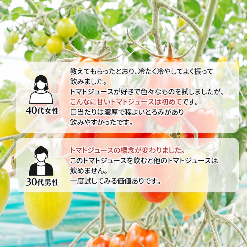 【先行予約】糖度平均9～10度！十勝 幕別産 ミニトマトジュース「自慢のトマトでつくりました。」赤160ml×6本［北海道ホープランド農場］食塩無添加【 トマト ミニトマト 飲料 野菜ジュース リコピン 北海道 】