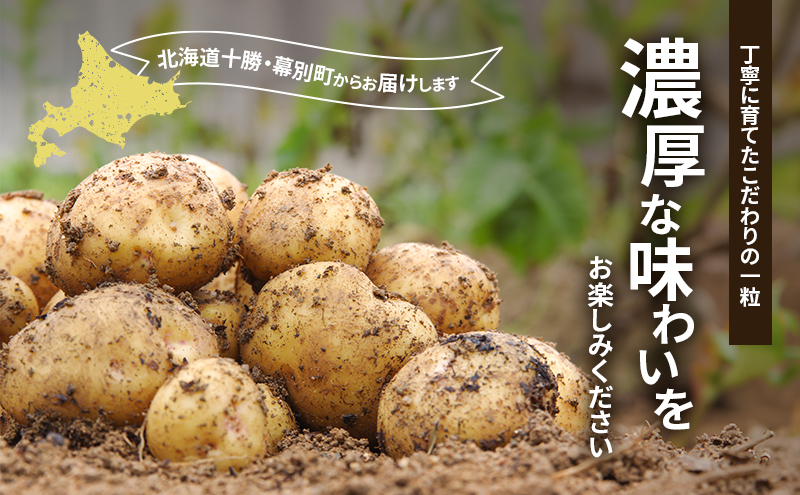 十勝 幕別町産 カラフルポテト8kg 2種(シャドークイーン4kg・ノーザンルビー4kg) 渡邉農場 [2026年11月出荷開始]【 野菜 いも イモ 芋 じゃがいも ジャガイモ 北海道 十勝 幕別 】