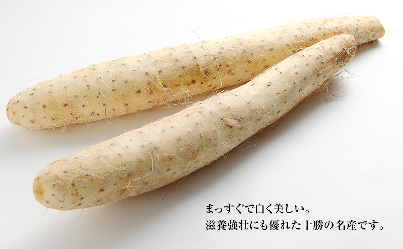 2026年12月発送 先行予約 十勝「忠類長いも」5kg (5～8本) L～2L［JA忠類］【 長芋 ながいも 山芋 芋 とろろ 野菜 根菜 産地直送 贈答 ギフト北海道 幕別 】
