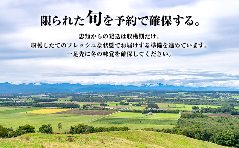 2026年12月発送 先行予約 十勝「忠類長いも」5kg (5～8本) L～2L［JA忠類］【 長芋 ながいも 山芋 芋 とろろ 野菜 根菜 産地直送 贈答 ギフト北海道 幕別 】