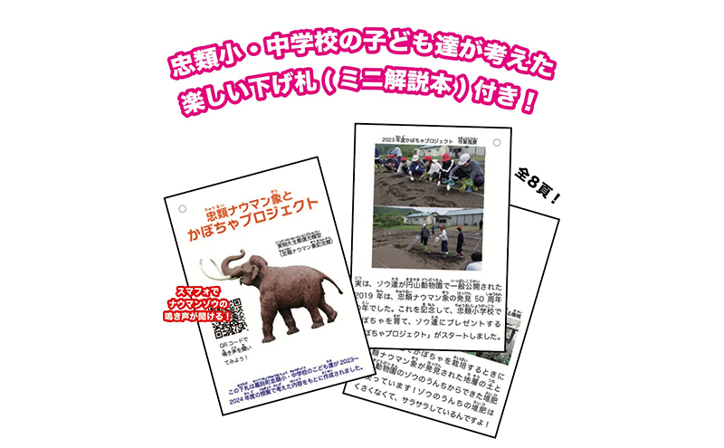 [北海道 幕別町]学芸員監修＆子どもたちと作った！忠類ナウマンゾウぬいぐるみ2体 キーホルダー2体 トレカ付き（小中学生制作のオリジナル学びの下げ札付き）[道の駅忠類]【 ぬいぐるみ おもちゃ ふわふわ もこもこ ギフト プレゼント 十勝 】