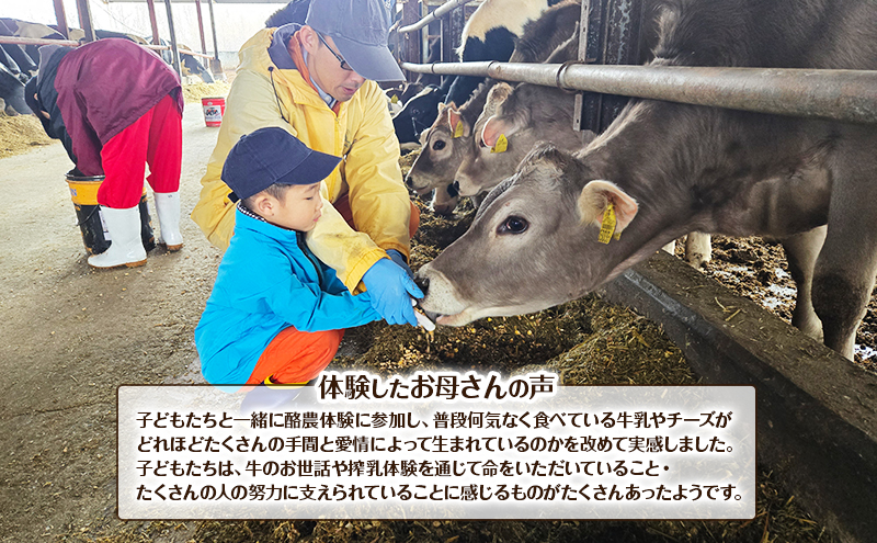 酪農体験チケット 大人3名 【 体験チケット 酪農 北海道 幕別町 牛 搾乳 牧場 自然 】