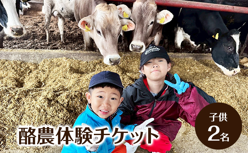 酪農体験チケット 子供2名 【 体験チケット 酪農 北海道 幕別町 牛 搾乳 牧場 自然 】
