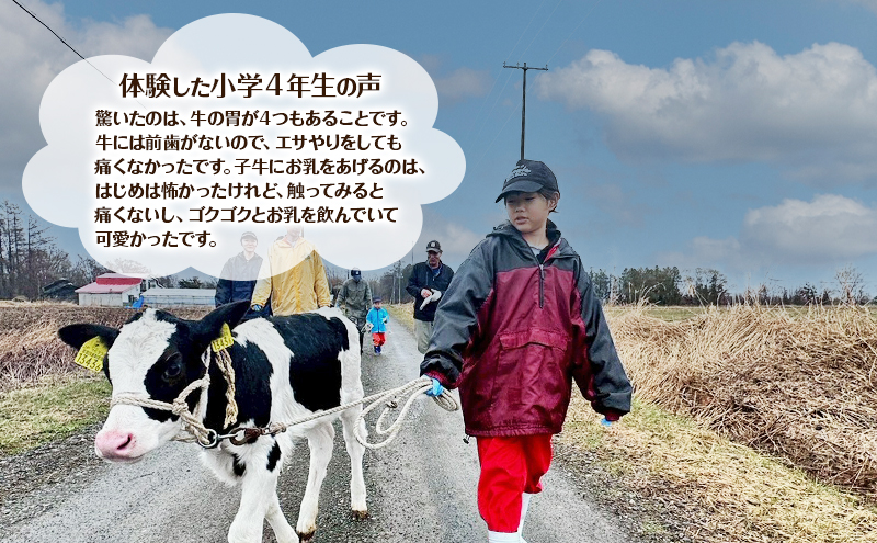 酪農体験チケット 大人・子供 各2名 【 体験チケット 酪農 北海道 幕別町 牛 搾乳 牧場 自然 】