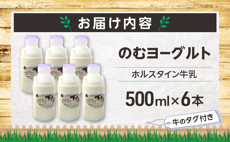 のむヨーグルト 生乳100%使用 500ml×6本 北海道産 ホルスタイン種 [i・ふぁーむ] 【 飲むヨーグルト 牧場直送 幕別 プレーン 濃厚 牛 朝食 】