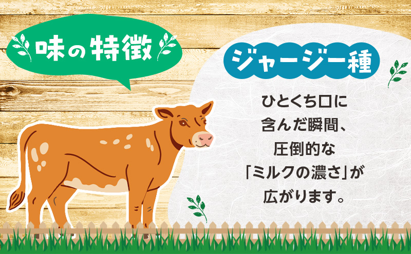 のむヨーグルト 生乳100%使用 500ml×6本 北海道産 ジャージー種 [i・ふぁーむ] 【 飲むヨーグルト 牧場直送 幕別 プレーン 濃厚 牛 朝食 】