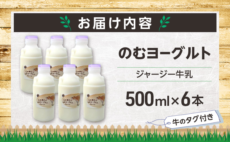 のむヨーグルト 生乳100%使用 500ml×6本 北海道産 ジャージー種 [i・ふぁーむ] 【 飲むヨーグルト 牧場直送 幕別 プレーン 濃厚 牛 朝食 】
