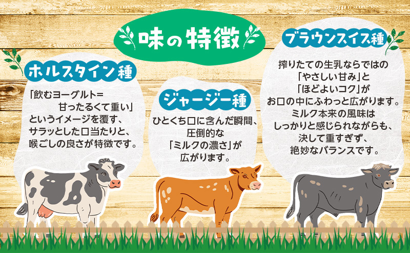 のむヨーグルト 生乳100%使用 500ml×6本 北海道産 3種 飲み比べ ホルスタイン ジャージー ブラウンスイス [i・ふぁーむ] 【 飲むヨーグルト 牧場直送 幕別 プレーン 濃厚 牛 朝食 】