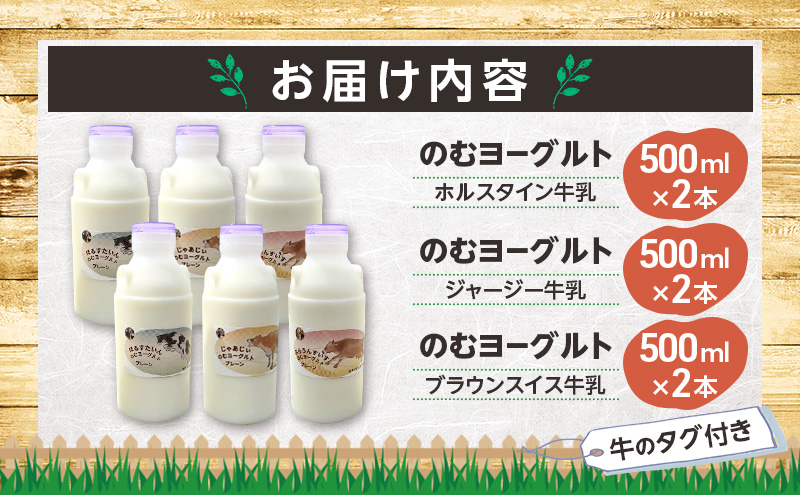 のむヨーグルト 生乳100%使用 500ml×6本 北海道産 3種 飲み比べ ホルスタイン ジャージー ブラウンスイス [i・ふぁーむ] 【 飲むヨーグルト 牧場直送 幕別 プレーン 濃厚 牛 朝食 】