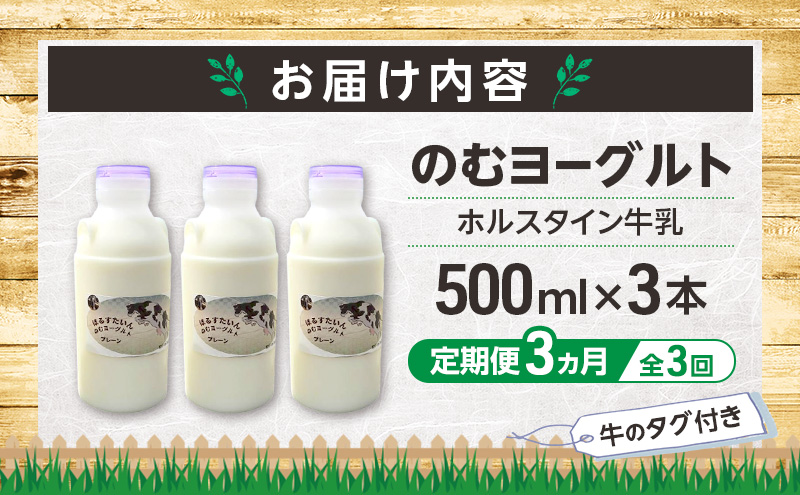 定期便 3ヵ月連続 全3回 のむヨーグルト 生乳100%使用 500ml×3本 北海道産 ホルスタイン種 [i・ふぁーむ] 【 飲むヨーグルト 牧場直送 幕別 プレーン 濃厚 牛 朝食 】