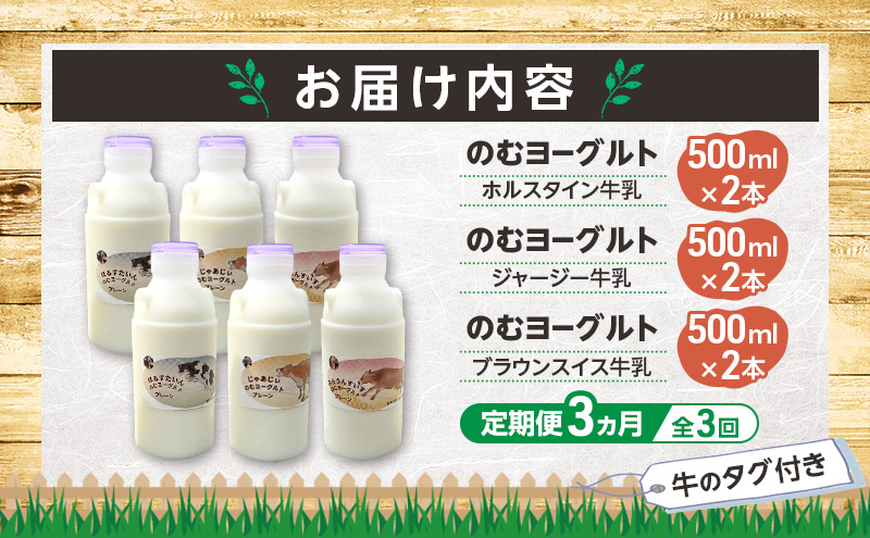 定期便 3ヵ月連続 全3回 のむヨーグルト 生乳100%使用 500ml×6本 北海道産 3種 飲み比べ ホルスタイン ジャージー ブラウンスイス [i・ふぁーむ] 【 飲むヨーグルト 牧場直送 幕別 プレーン 濃厚 牛 朝食 】