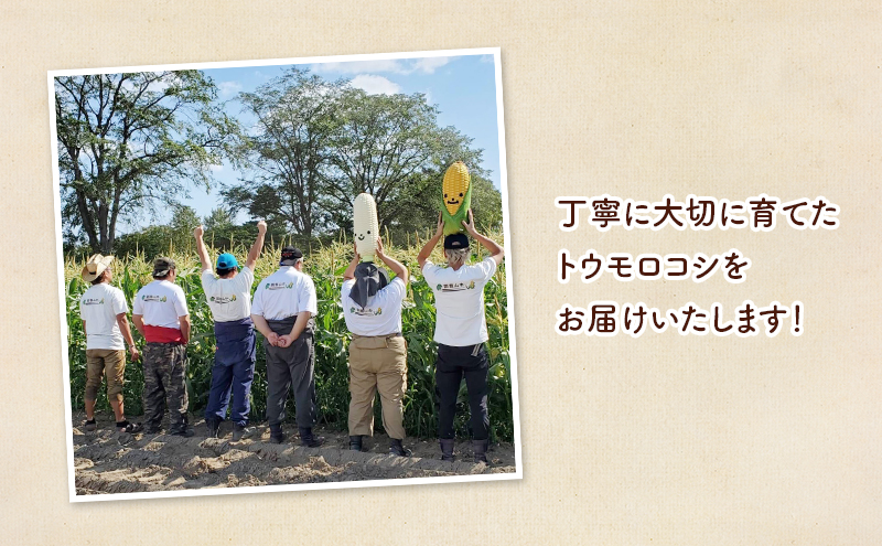 北海道 幕別町 農家が作る芯付 ポップコーン 3本［お菓子 菓子 とうもろこし］