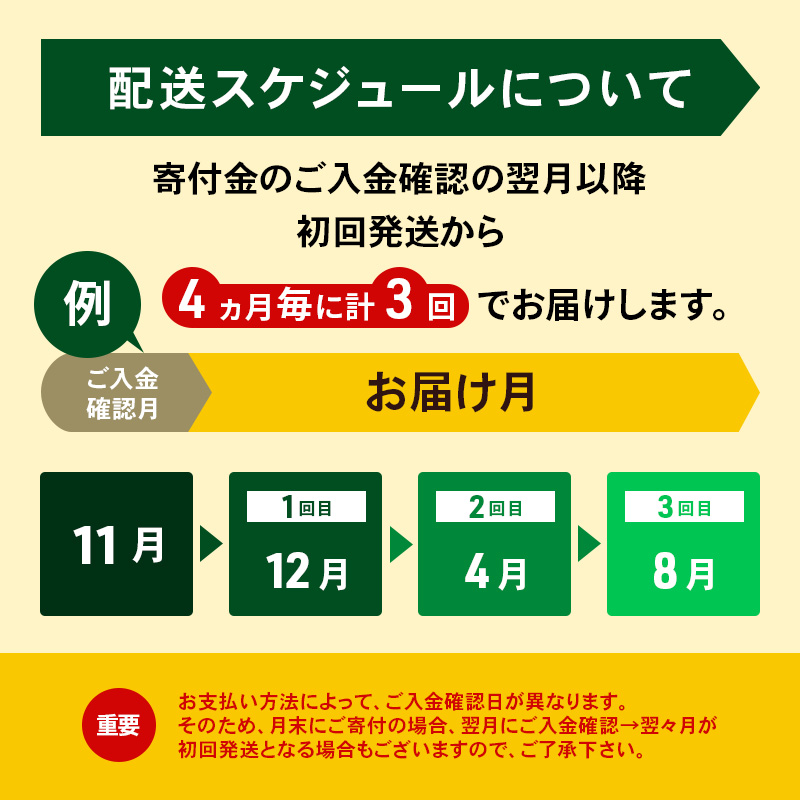 定期便 4ヵ月毎 全3回 よつ葉 「北海道 十勝シュレッドチーズ[要加熱]」3kg【 よつ葉 美味しい チーズ グラタン ピザ 大容量 業務用 北海道 十勝 幕別 】