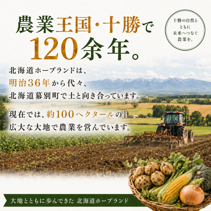 【先行予約】十勝幕別のじゃがいも15kg（メークイン）【北海道ホープランド農場】 野菜 