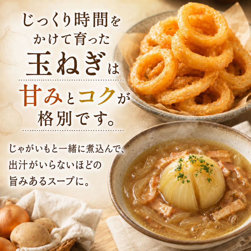 【先行予約】じゃがいも5kg・玉ねぎ4kgセット（メークイン）【十勝幕別 北海道ホープランド農場】 たまねぎ 野菜 詰合せ 