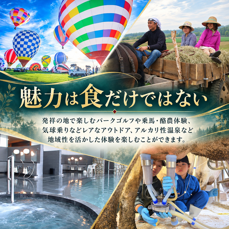 【旅行で楽しむ】あなただけの特別を まくべつコンシェルジュ　返礼品おまかせ 30万 旅行系限定コース [ 幕別町役場 定期便 ギフト 贈答 おまかせ おすすめ パークゴルフ 温泉 気球 体験 ]