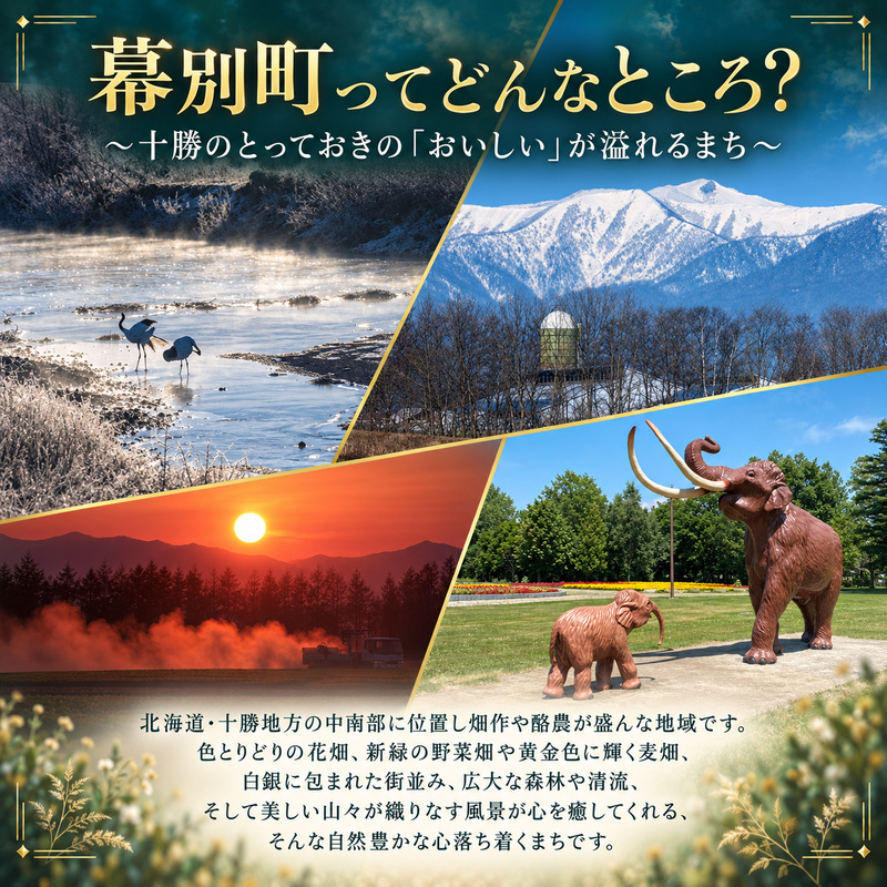 【旅行で楽しむ】あなただけの特別を まくべつコンシェルジュ　返礼品おまかせ 100万 旅行系限定コース [ 幕別町役場 定期便 ギフト 贈答 おまかせ おすすめ パークゴルフ 温泉 気球 体験 ]