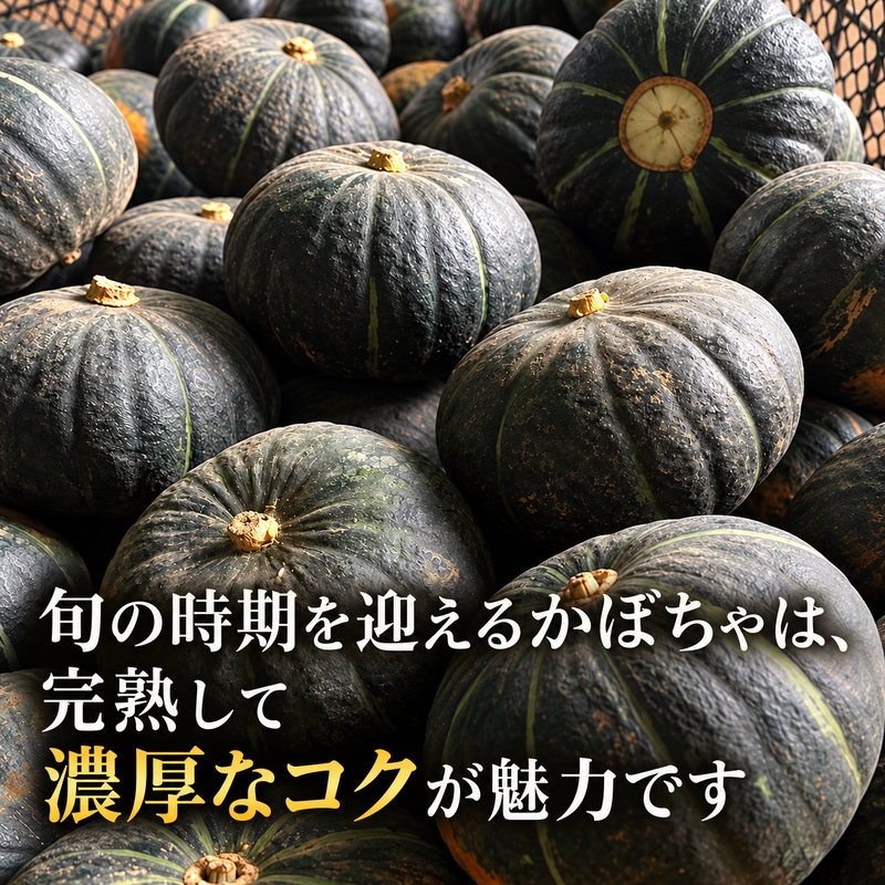 十勝幕別町産 かぼちゃ くり将軍 約10kg（5～7個）［山田敏明牧場］ 【 野菜 かぼちゃ 旬の野菜 産地直送 北海道 十勝 幕別 】