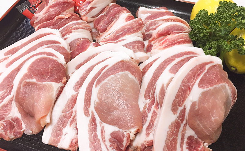 北海道ポーク 十勝豚丼 8人前セット【 豚 ブタ 豚肉 国産豚 国産 北海道 十勝 幕別 ふるさと納税 送料無料 】 お肉 牛肉 ロース バラ 