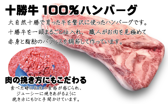 北海道 十勝牛ハンバーグ200g×4とインカのめざめフライドポテト250g×2【セット 牛100% 国産牛 牛肉 ハンバーグ 芋 いも ポテト 惣菜 小分け 冷凍 牛肉100% 大きい 国産 北海道 十勝 幕別 ふるさと納税 送料無料 】