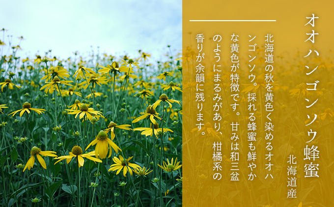 【国産純粋】北海道産はちみつ4種食べ比べB（200g×4本）