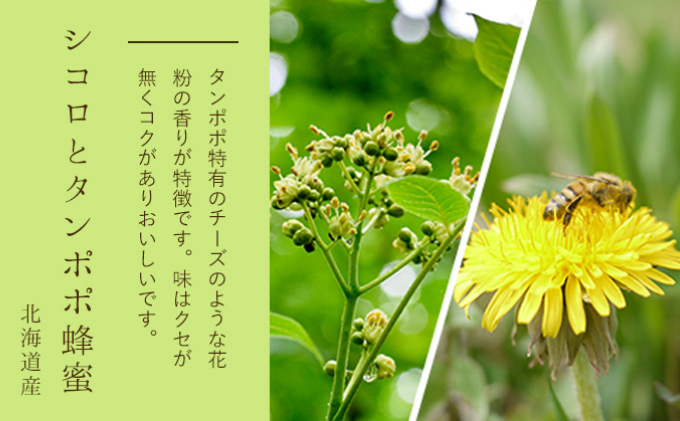 【国産純粋】北海道産はちみつ4種食べ比べB（200g×4本）