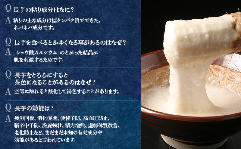 北海道 十勝の大地が育てたシャキシャキ食感と強い粘り 幕別産 長いも Lサイズ 5kg ［木川商店］【 長いも 長芋 ながいも ナガイモ とろろ 芋 いも 野菜 10kg 5kg  産地直送 旬 濃厚 北海道 十勝 幕別 】 