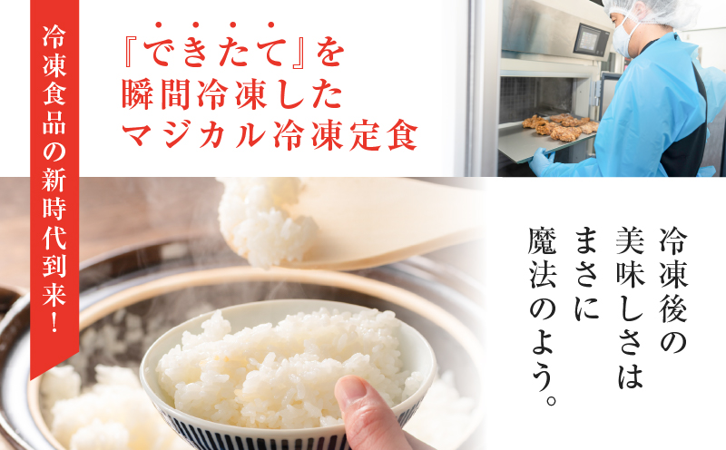 【全12回定期便】マジカル冷凍定食三種セット　K258-T04_c