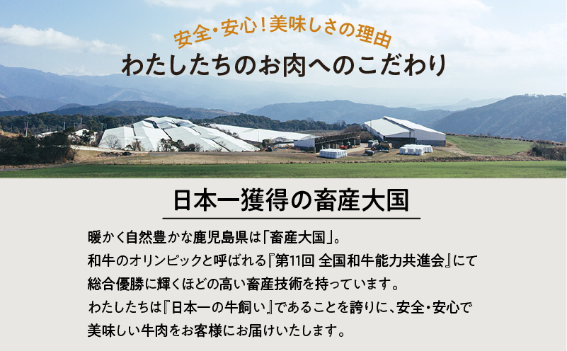 ＜お試し＞A5等級 鹿児島県産 黒毛和牛 赤身 スライス 400g　K002-052_04