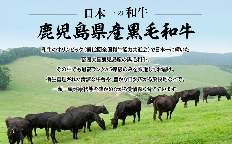 ＜お試し＞A5等級 鹿児島県産 黒毛和牛 赤身 スライス 400g　K002-052_04