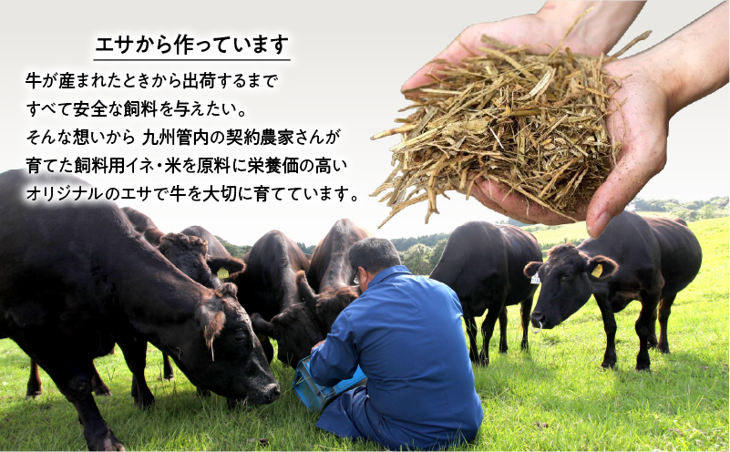 ＜お試し＞A5等級 鹿児島県産 黒毛和牛 赤身 スライス 400g　K002-052_04