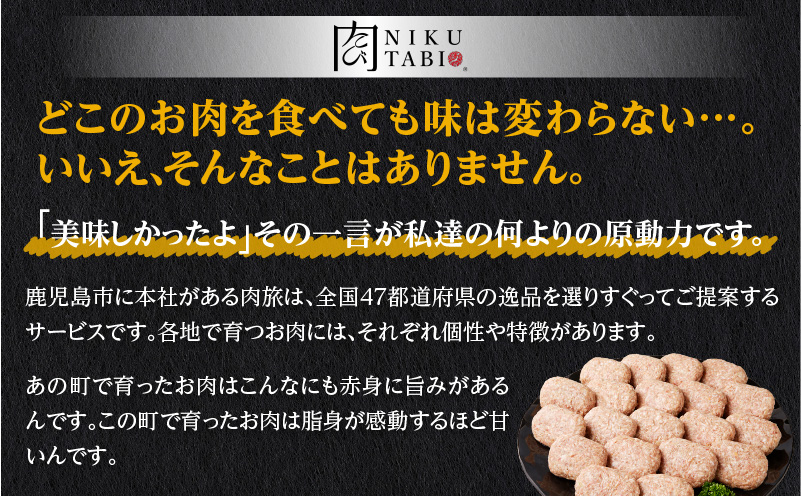 【肉旅】鹿児島県産黒毛和牛＆黒豚入り手ごねハンバーグ20個入　K235-001_03