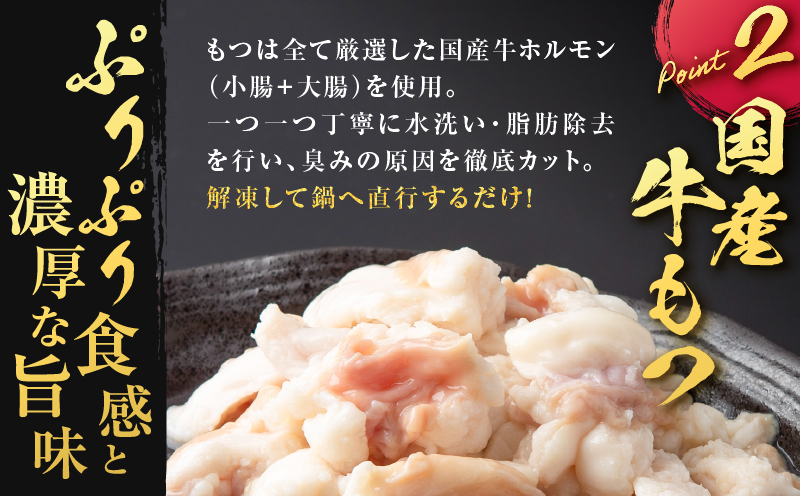 寺師の国産牛もつ鍋セット 2〜3人前　K005-002