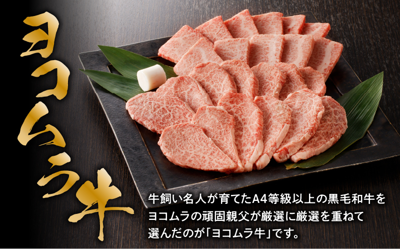 【7営業日以内に発送】【鹿児島黒毛和牛A4〜A5】焼肉特上セット（特上カルビ/特上ロース）　K189-007