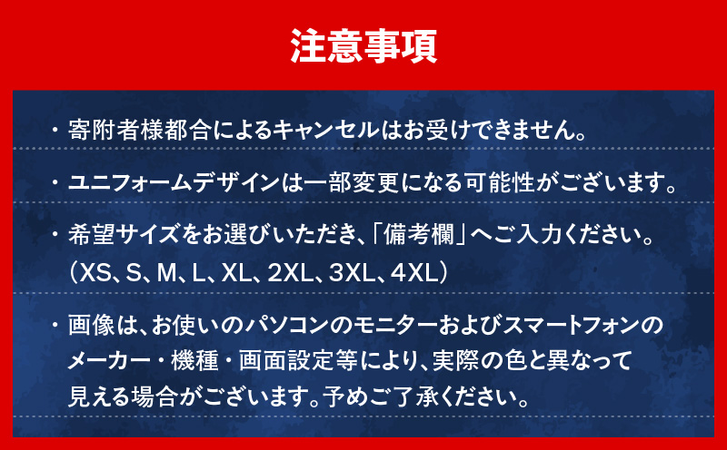 ＜選べる＞【鹿児島ユナイテッドFC】「明治安田J2・J3百年構想リーグ」オーセンティックユニフォームGK1st（背番号なし or あり）　K268-017