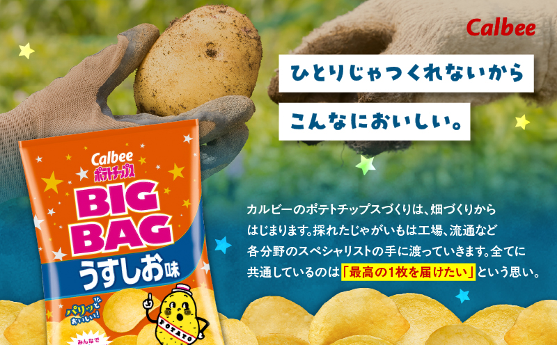 カルビー ポテトチップス BIGBAG【うすしお】12袋　K194-002_04