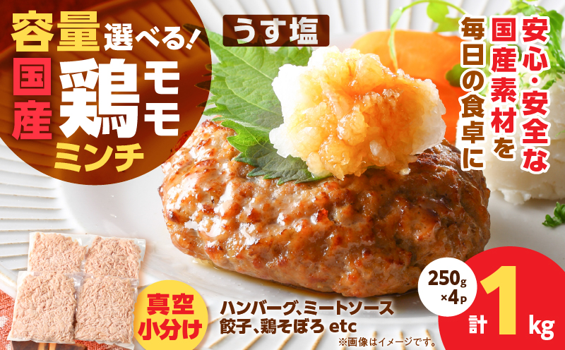 国産鶏モモミンチ＜うす塩＞ 計1kg　K025-016_02