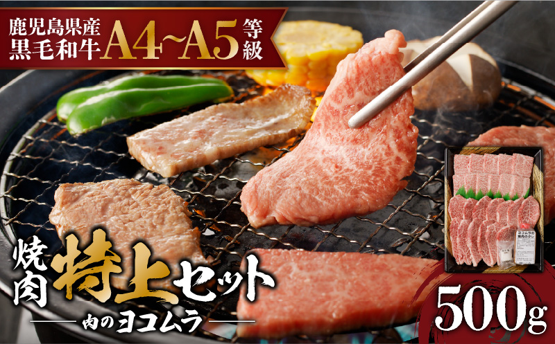 【7営業日以内に発送】【鹿児島黒毛和牛A4〜A5】焼肉特上セット（特上カルビ/特上ロース）　K189-007